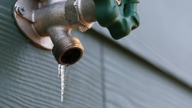 Best Shower Repair Services  in El Dorado Springs, MO